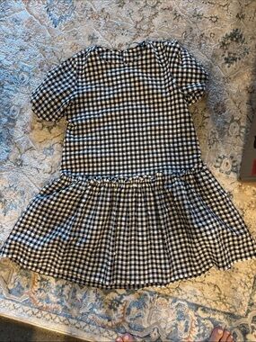 Zara Black & White Gingham Drop-Waist Dress